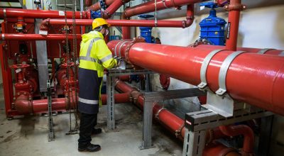 pexels marianna zuzanna 498248397 16442684